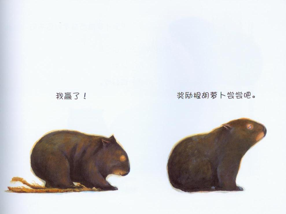 袋熊日记 (09),绘本,绘本故事,绘本阅读,故事书,童书,图画书,课外阅读